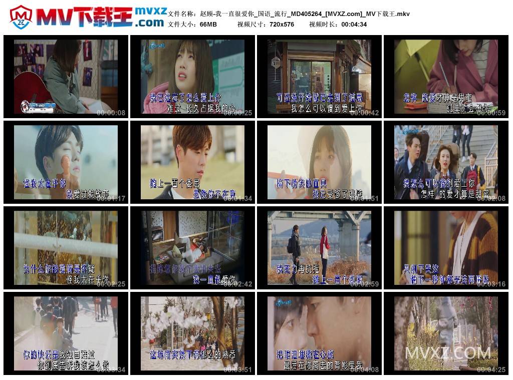 赵顾-我一直很爱你_国语_流行_MD405264